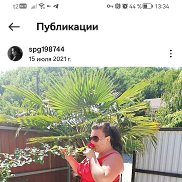 ��������, 39 ���, ���������