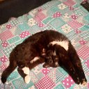 ���� ����, ����, 50 ��� - ��������� 13 ������ 2024 � ������ ���� ����������