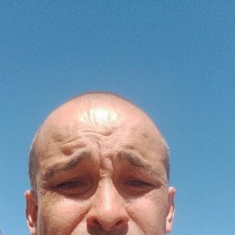 , 41, 