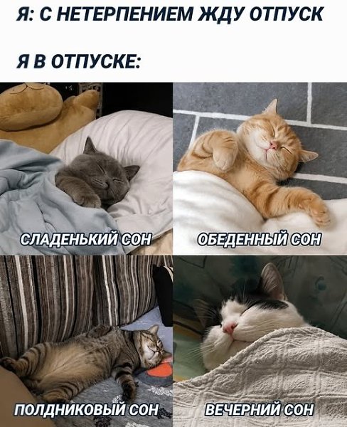 ��� ���� � ����� �� �� - 2 ���� 2026 � 14:25