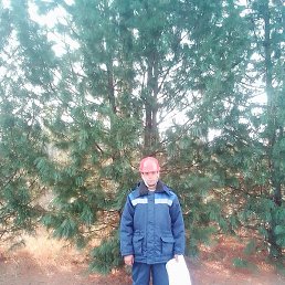 ������, ������, 31 ���