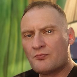 ������, ������, 46 ���