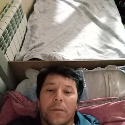 , 40, 