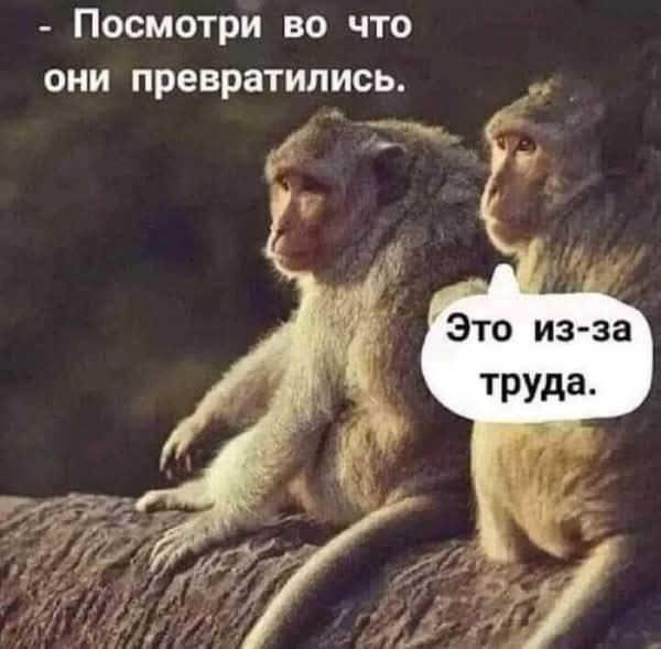 :)