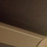 ���������, 56 ���, ������