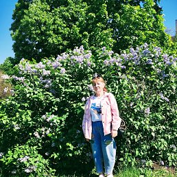  , 54, 