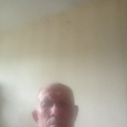 , 51, 