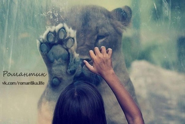 �� ��������� ��, ��� ������, � �� ���������� ��, ��� ��������. � ����� ������� ���� ������ ����. ...