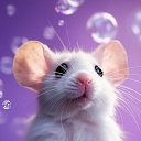  , , 104  -  21  2025    