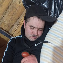 ����, ���������� ����, 37 ���