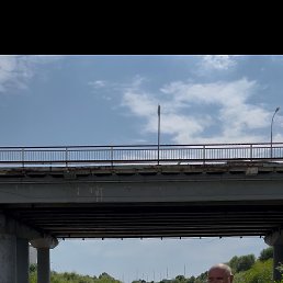 , 50, 