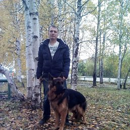 �������, ������, 46 ���