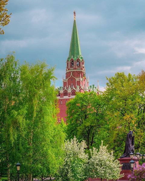 Цветение в Александровском саду и на Манежной площади.Фото: kobektas