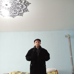 , 55, 