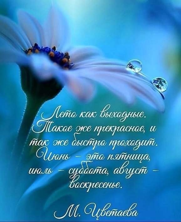   ,    . - 6  2025  19:46
