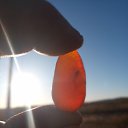  , , 48  -  30  2023   *