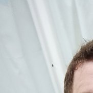 �������, 33 ����, ������