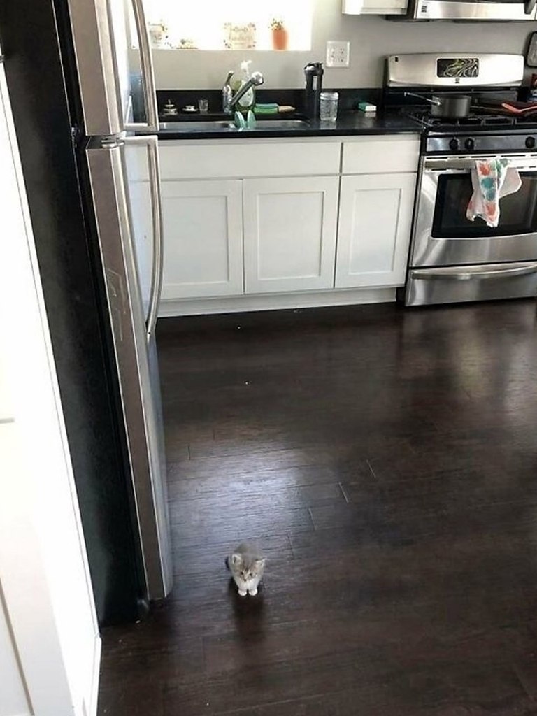 ������ ��� ����� �����������? - 4