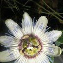 ���� �����, ���� - ��������� 22 ������ 2023 � ������ ���� ����������