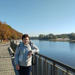 , 49, 