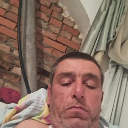 , 50, 