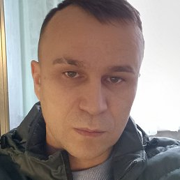 �����, ������, 41 ���