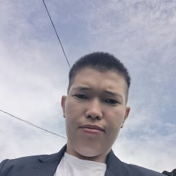 , 29, 