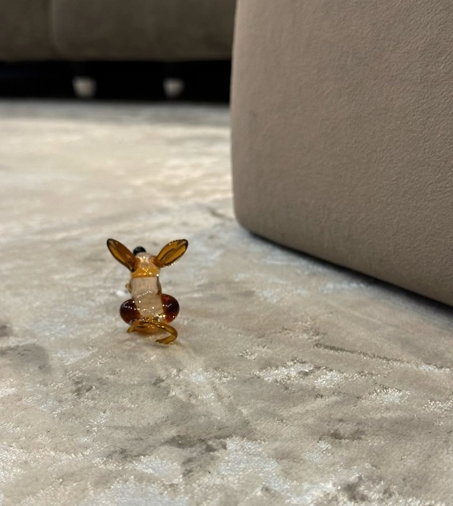 ocyae aeoo yaa, o eo oop - 3