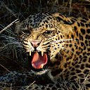 ���� �������, ����������, 59 ��� - ��������� 1 ������ 2025 � ������ ���� ����������