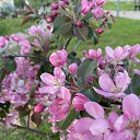 ���� ���������, ������� �����, 37 ��� - ��������� 3 ������ 2023 � ������ ���� ����������