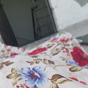 ���� Yadav, �����������, 21 ��� - ��������� 23 ��� 2026 � ������ ���� ����������