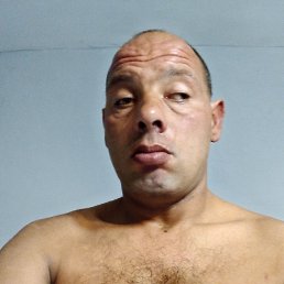 ����, 36 ���, �����