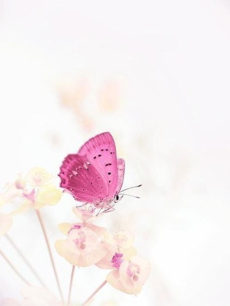 ����� ������ � ������ ��� ����� ������, ��� � ����� � ����������� ��������� ����, � ��� ����� �����, ...