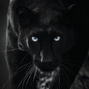 ���� �����, �����-���������, 63 ���� - ��������� 14 ���� 2024 � ������ ���� ����������
