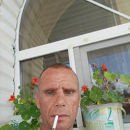 , 44, 