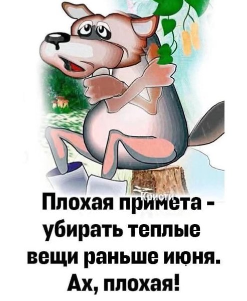   - 14  2025  19:58