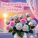 ���� ������, ����������� - ��������� 29 ������ 2026 � ������ ������ ��������
