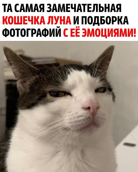 ��� ���������!