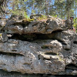 �������, ������, 36 ���