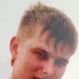 ���������, ���������, 39 ���