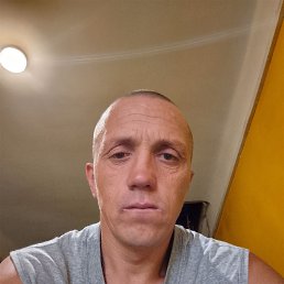 , 41, 