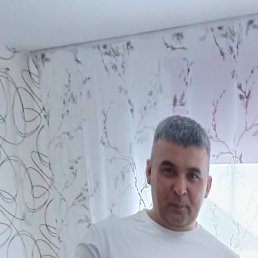 ����, ������, 46 ���