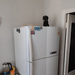 ���� ������, ������, 64 ���� - ��������� 5 ������� 2023