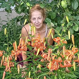 ���� �������, ������, 54 ���� - ��������� 30 ������� 2025