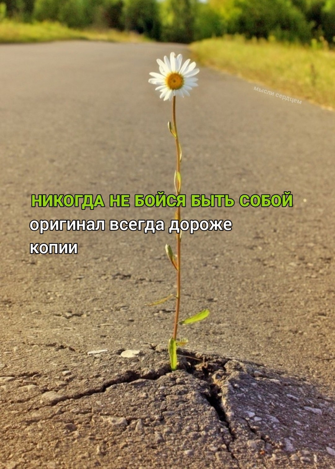  - 21  2025  19:06