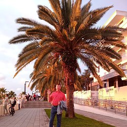 ����, ������, 45 ���