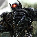 ���� �����, �����, 41 ��� - ��������� 5 ������ 2023 � ������ ���� ����������