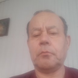 , 54, 