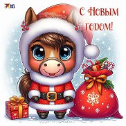 �������, 50 ���, ������