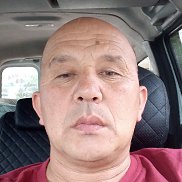, 51 , 